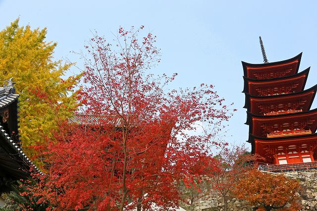 a0242438_1818401.jpg