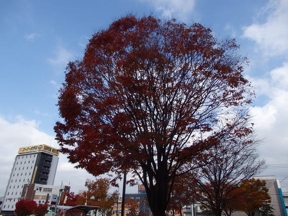 a0054240_2144334.jpg