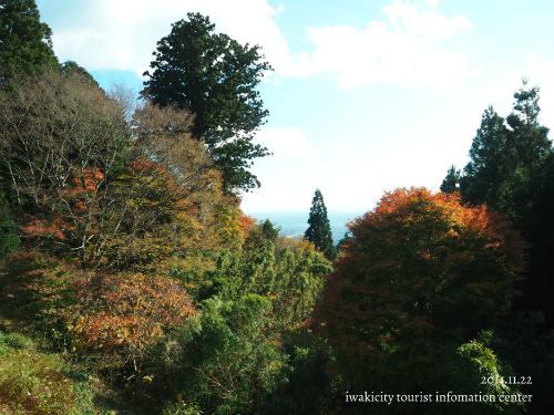 閼伽井嶽薬師常福寺の紅葉　［平成26年11月22日（土）更新］_f0105342_17354965.jpg