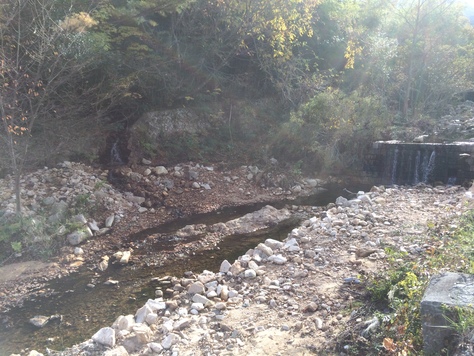 c0195543_18173375.jpg