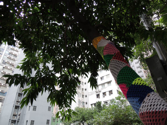 e0248743_7203483.jpg