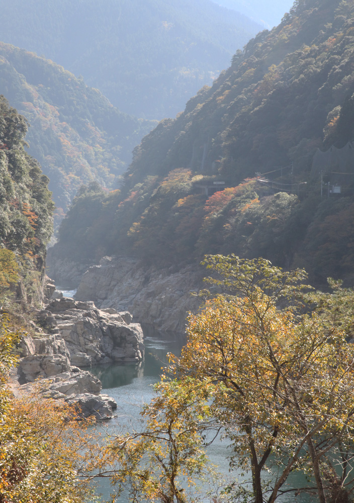 徳島県　大歩危　小歩危　紅葉_c0108146_2224173.jpg