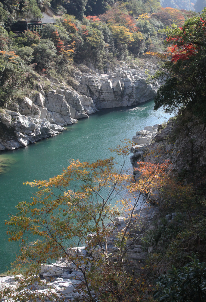 徳島県 大歩危 小歩危 紅葉 魅せられて大和路 徳島県 大歩危 小歩危 紅葉 魅せられて大和路