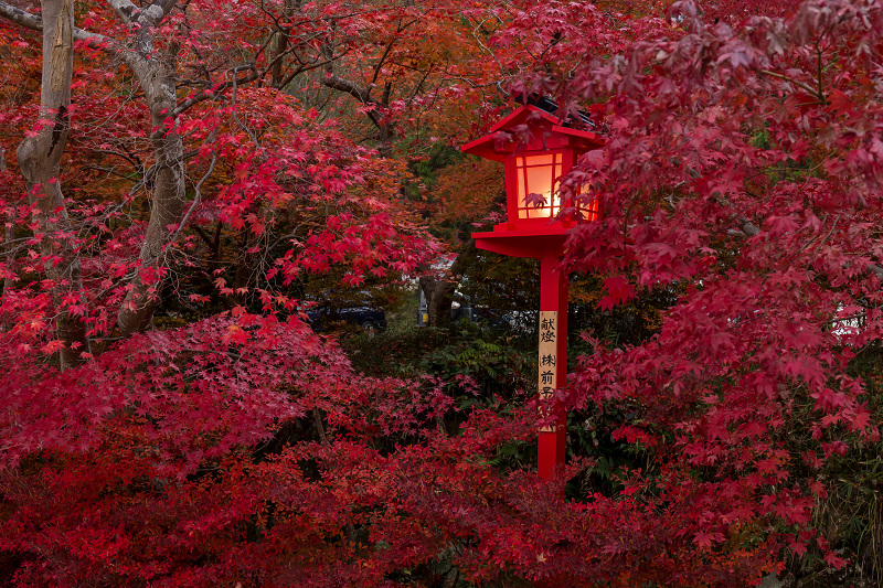 彩・鍬山神社_f0155048_23315359.jpg