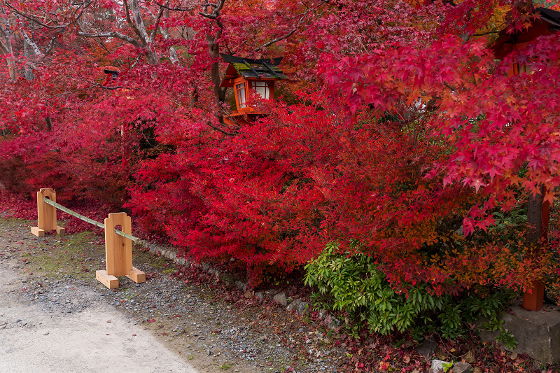 彩・鍬山神社_f0155048_2332096.jpg