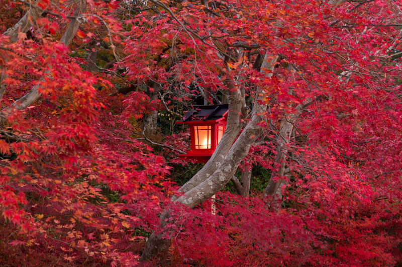 彩・鍬山神社_f0155048_23321459.jpg