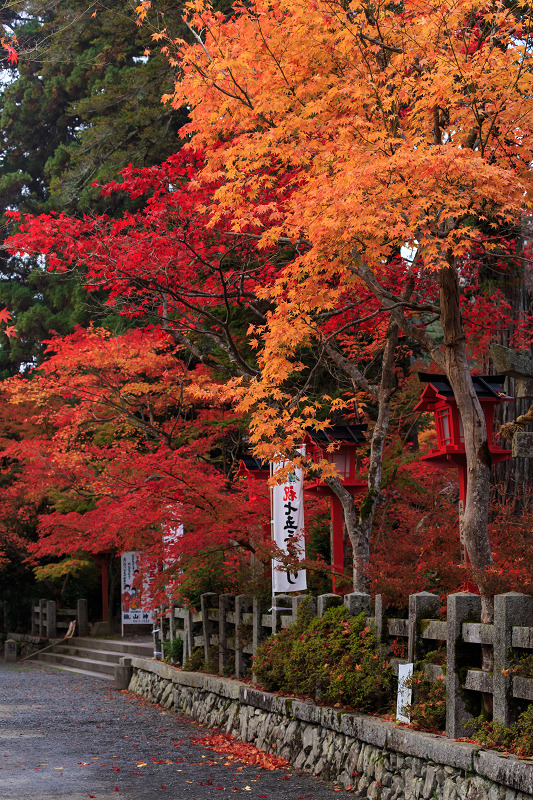 彩・鍬山神社_f0155048_23322537.jpg