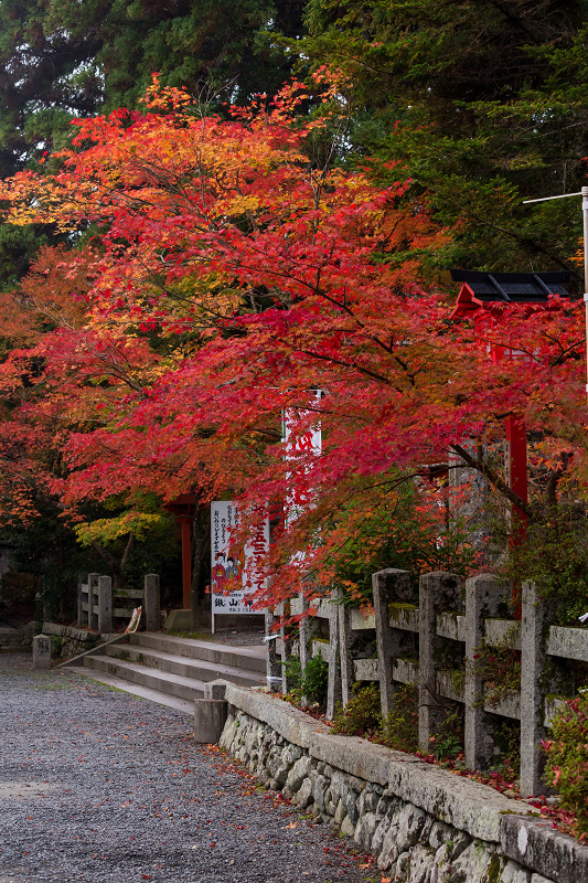 彩・鍬山神社_f0155048_23323562.jpg