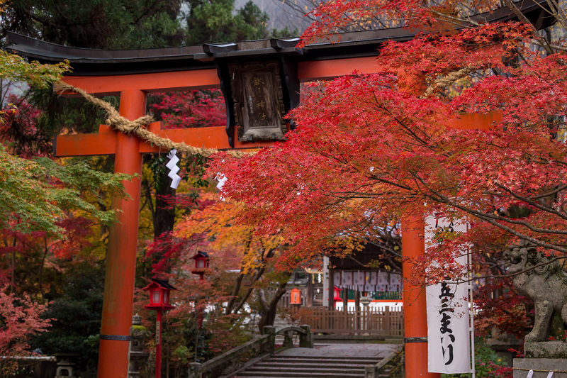 彩・鍬山神社_f0155048_23324720.jpg