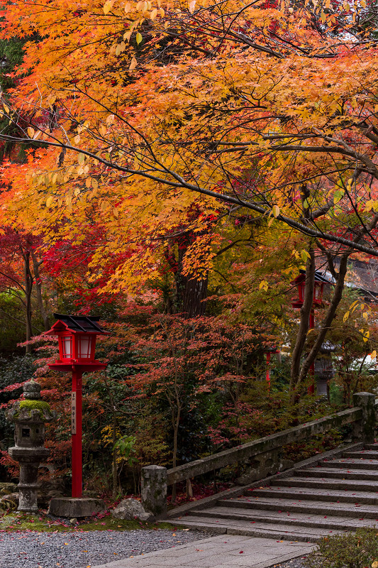 彩・鍬山神社_f0155048_23332183.jpg