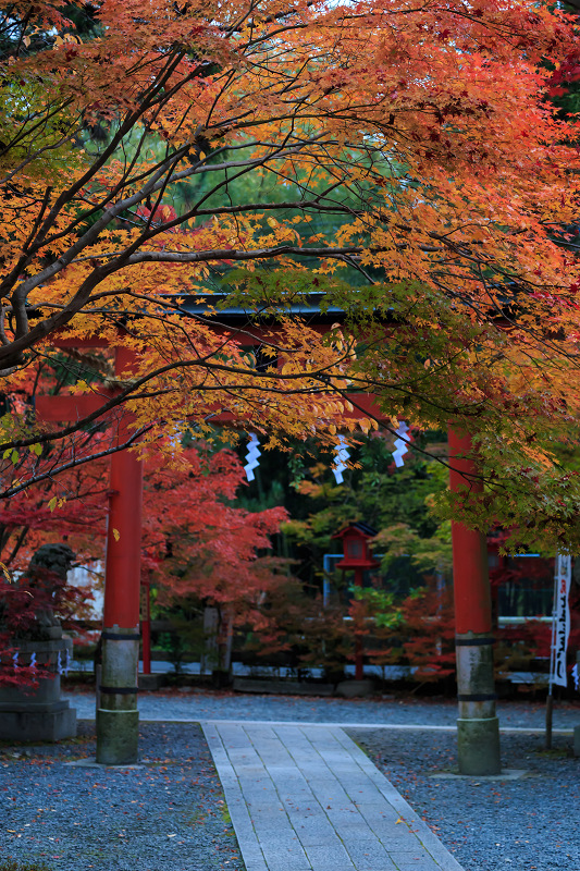 彩・鍬山神社_f0155048_23334358.jpg