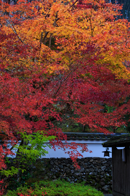 彩・鍬山神社_f0155048_23341225.jpg