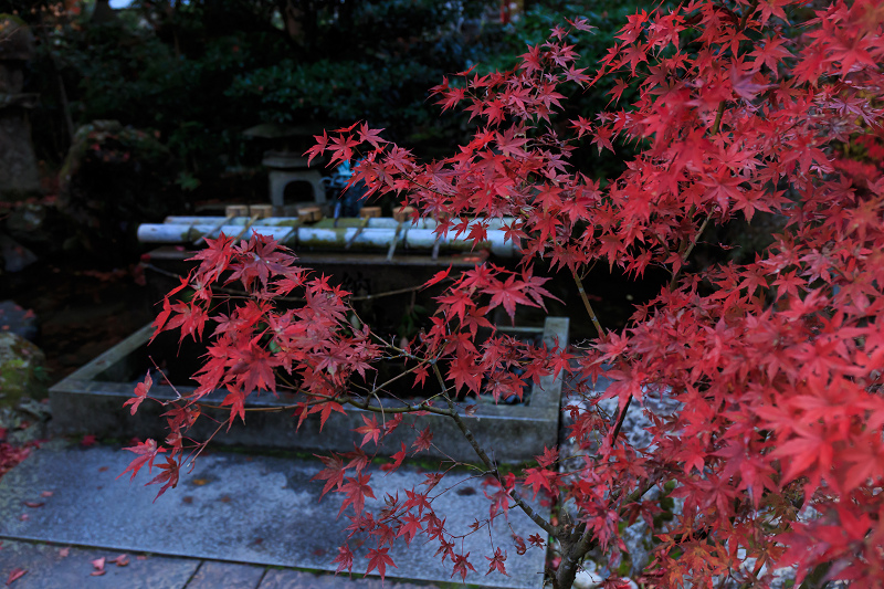 彩・鍬山神社_f0155048_23352362.jpg