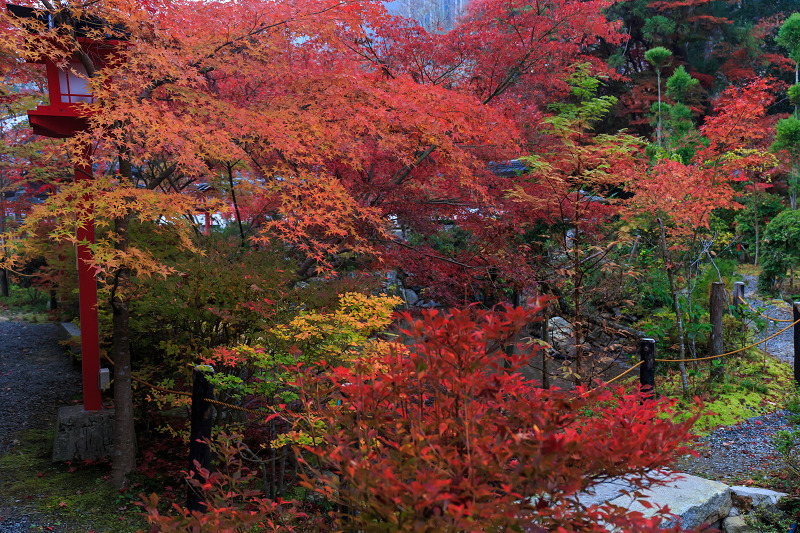 彩・鍬山神社_f0155048_2337251.jpg