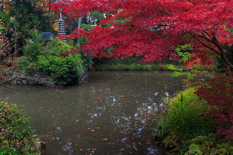 彩・鍬山神社_f0155048_23373481.jpg