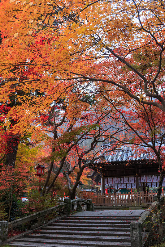 彩・鍬山神社_f0155048_23384194.jpg