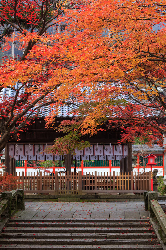 彩・鍬山神社_f0155048_23391024.jpg