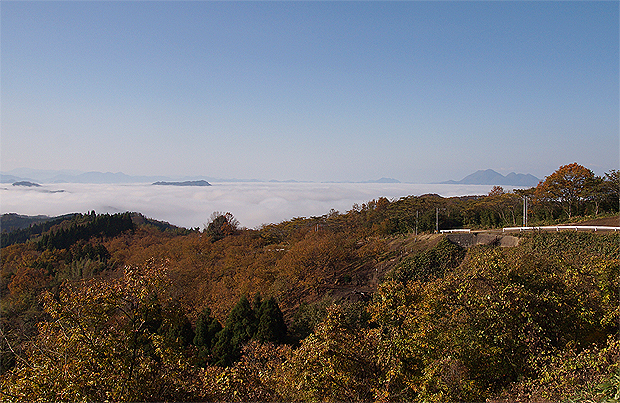 f0214649_58570.jpg