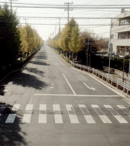 a0307453_15101636.png