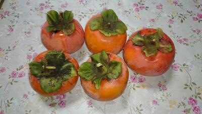 隣りの客はよく柿食う客じゃ 稲垣部屋伝説 改 隣りの客はよく柿食う客じゃ 稲垣部屋伝説 改
