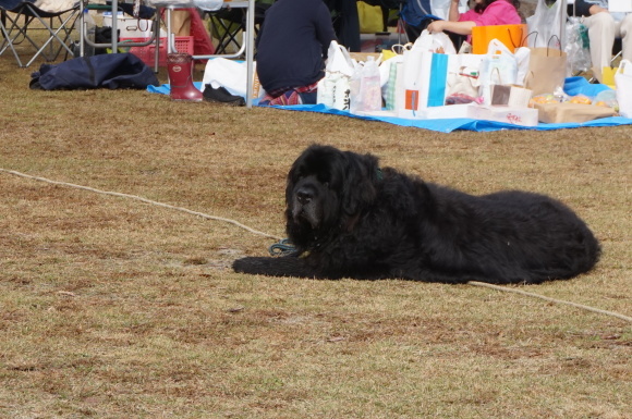 a0201257_01011625.jpg