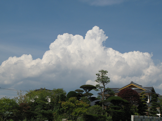 雲の峰_c0337257_12101505.jpg