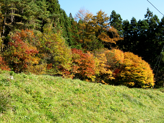 外山の奥（追憶の錦秋）_c0337257_12105838.jpg