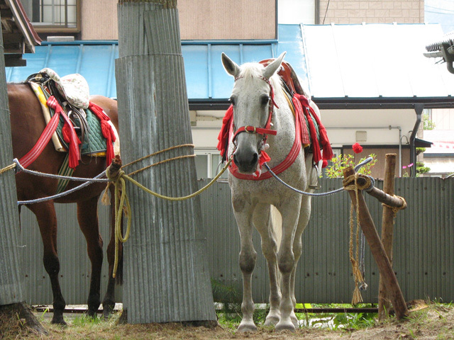 遠野～10 to 19 駆_c0337257_12192019.jpg