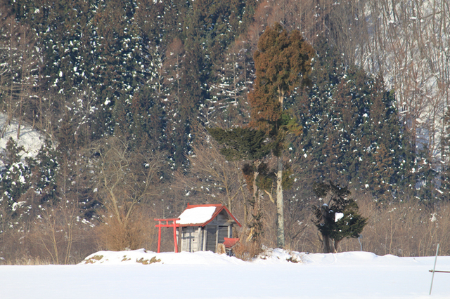 青笹駅裏情景_c0337257_12230387.jpg