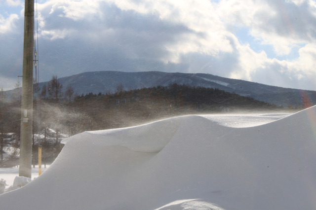 つっちゃな地吹雪_c0337257_12230982.jpg