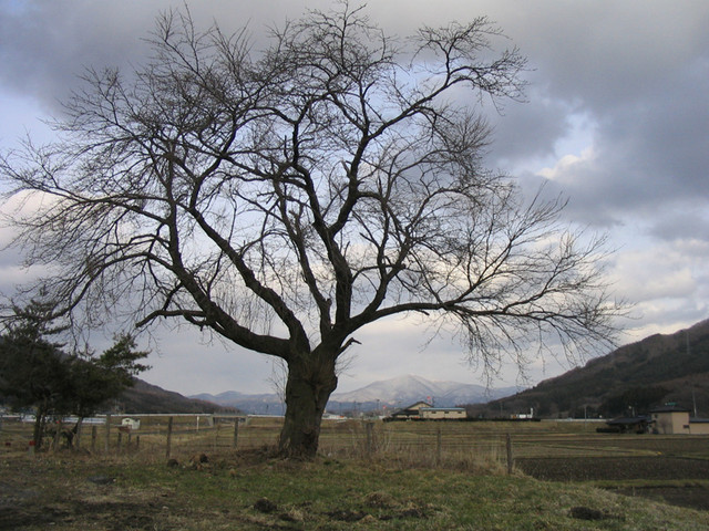 遠野思い出写真2_c0337257_12314661.jpg