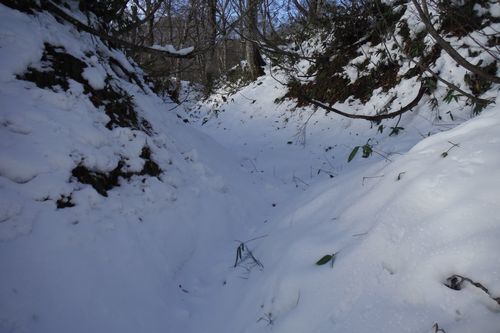 c0294658_21292486.jpg