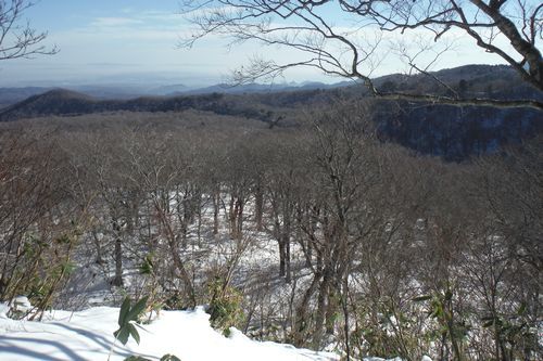 c0294658_22252569.jpg