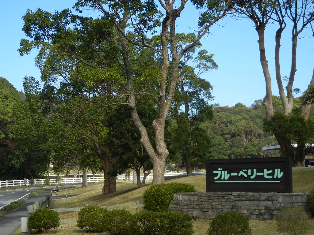 ’14,11,22(土)ウクレレと散歩と紅葉!_f0060461_2055431.jpg