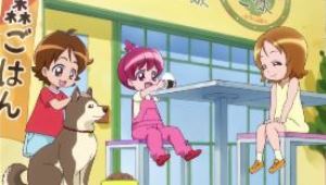 ハピネスチャージプリキュア ボーカルアルバム２ シャイニング ハピネスパーティ ぼてぼてだいありー