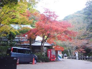 箕面山の紅葉2014_f0150767_17401983.jpg