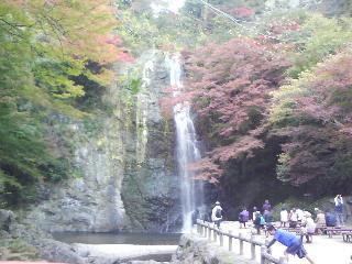 箕面山の紅葉2014_f0150767_17404732.jpg