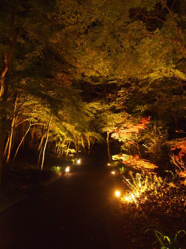 c0144868_13312011.jpg