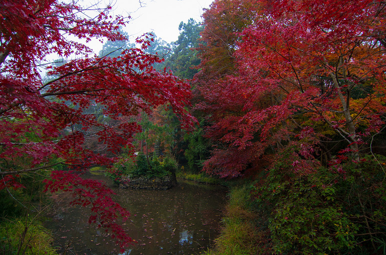 早朝の鍬山神社_f0303870_21282659.jpg