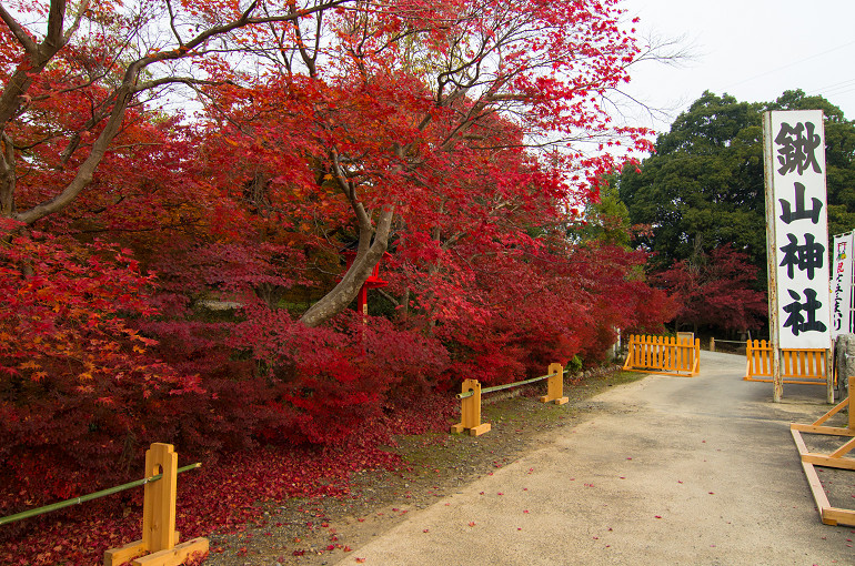 早朝の鍬山神社_f0303870_2129487.jpg