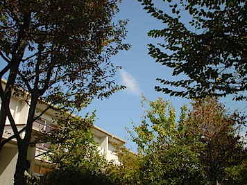 c0197671_10593465.jpg