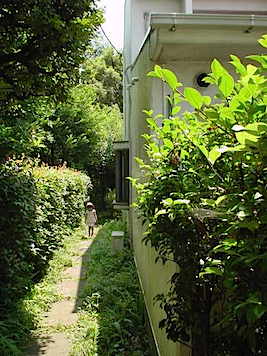 c0197671_11031.jpg
