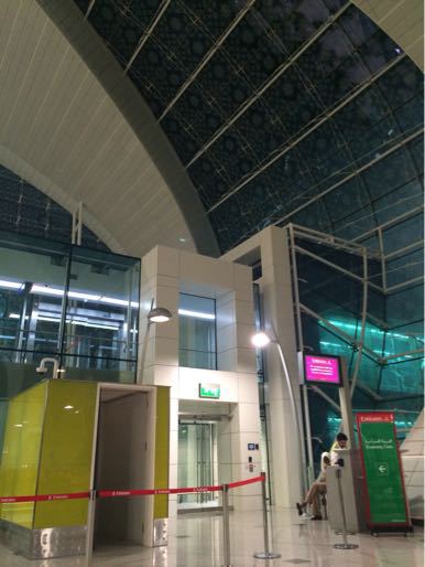 e0066474_774342.jpg