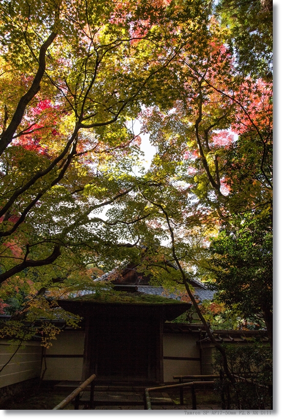 c0054876_16204110.jpg