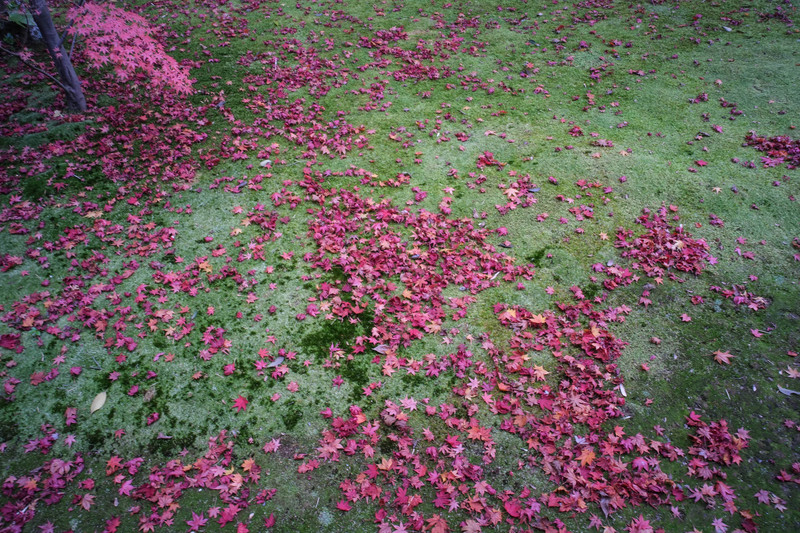 c0054876_1621324.jpg