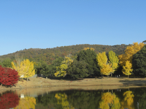 c0095679_18503837.gif