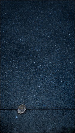 秋の日は釣瓶落とし_a0161380_1423173.jpg