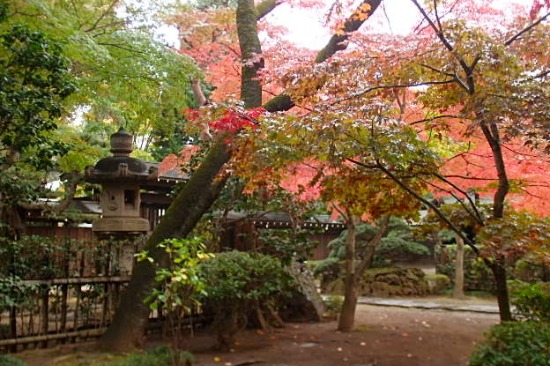 着物 de 平林寺 . ２_e0298782_17414233.jpg