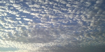 b0090284_1624267.jpg