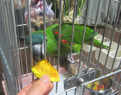 f0234590_9531130.png